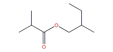 2-Methylbutyl 2-methylpropionate